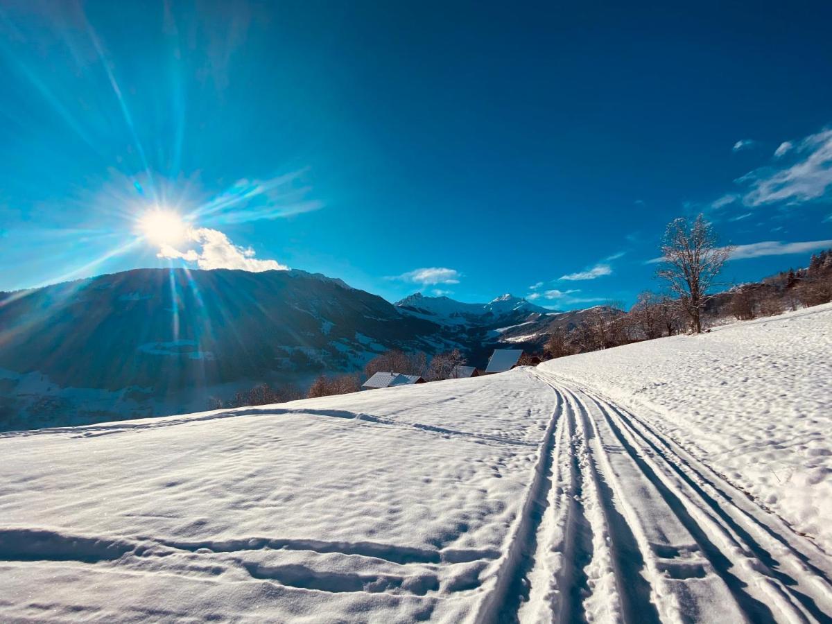 Chalet Confidentiel Valmorel - Chalet De Haut De Gamme 4 Etoiles 12 Personnes Doucy Dış mekan fotoğraf