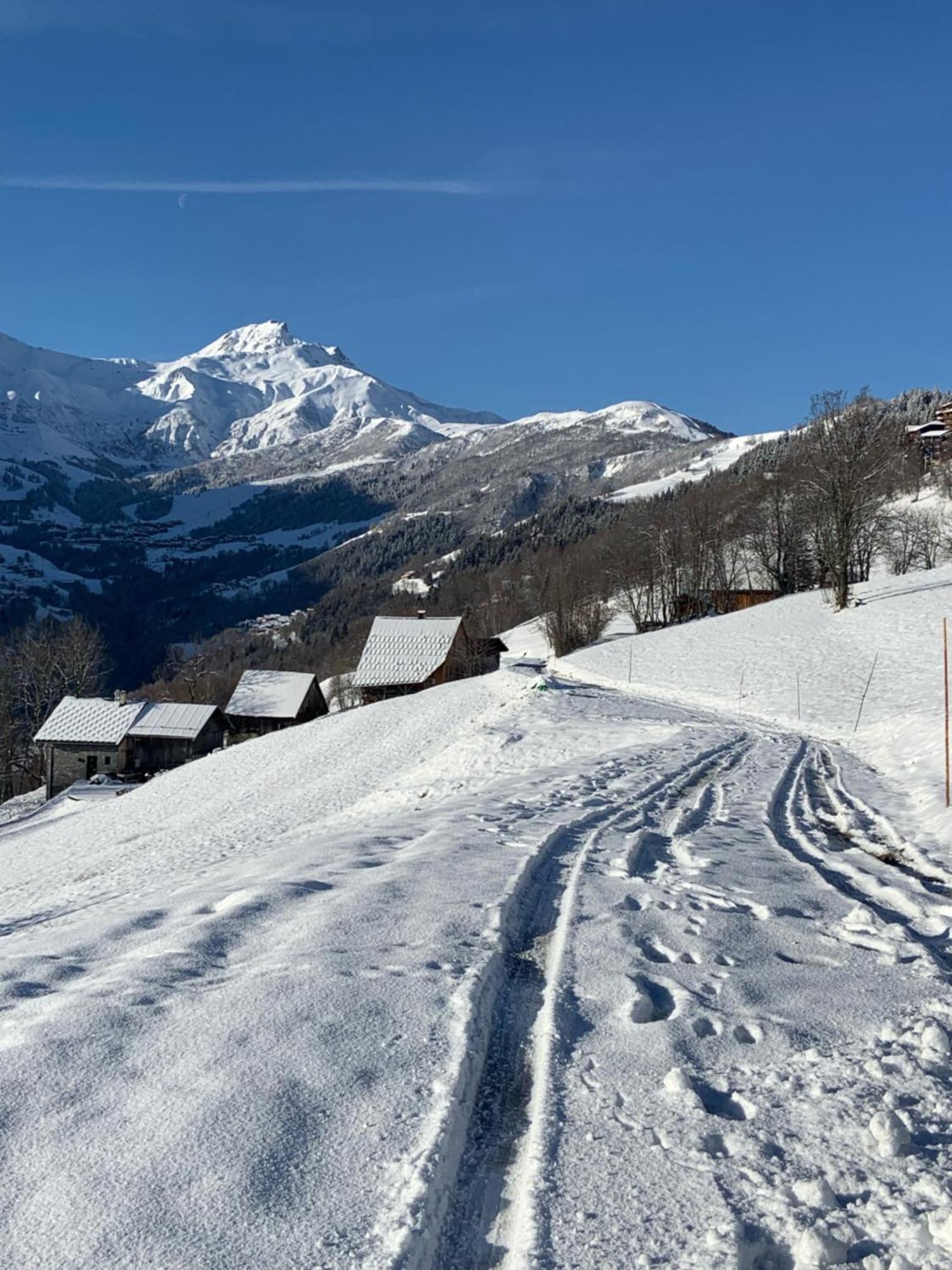 Chalet Confidentiel Valmorel - Chalet De Haut De Gamme 4 Etoiles 12 Personnes Doucy Dış mekan fotoğraf
