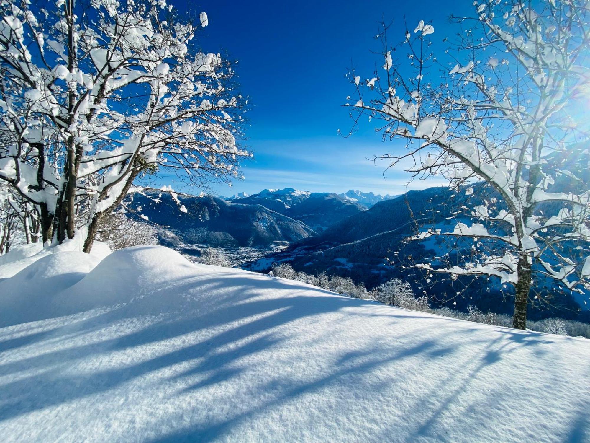Chalet Confidentiel Valmorel - Chalet De Haut De Gamme 4 Etoiles 12 Personnes Doucy Dış mekan fotoğraf